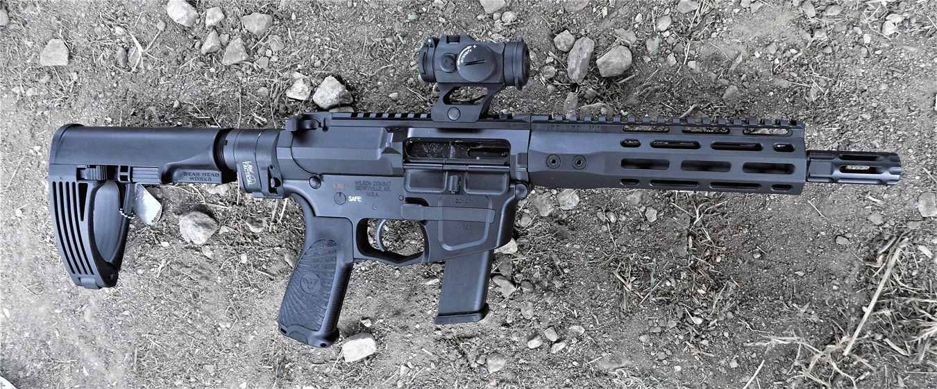Wilson Combat AR9 with Aimpoint red dot scope