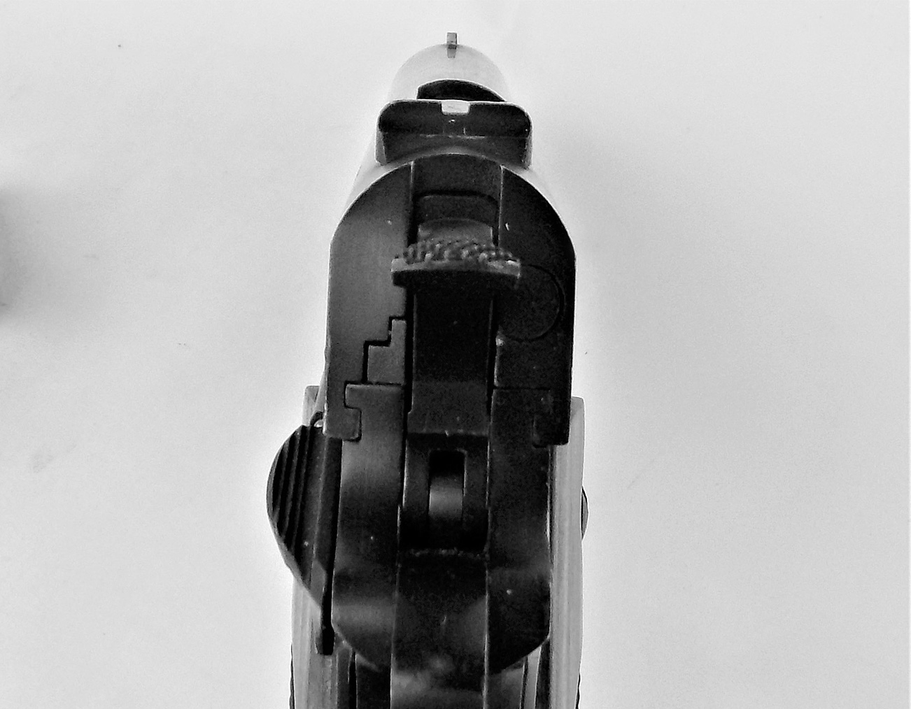 rear notch sight on the Regent R100