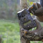 hanging a trail camera on a tree