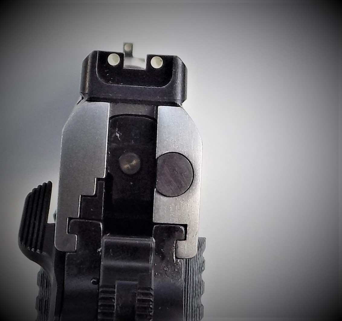 Sight picture on a Ruger SR1911 Commander