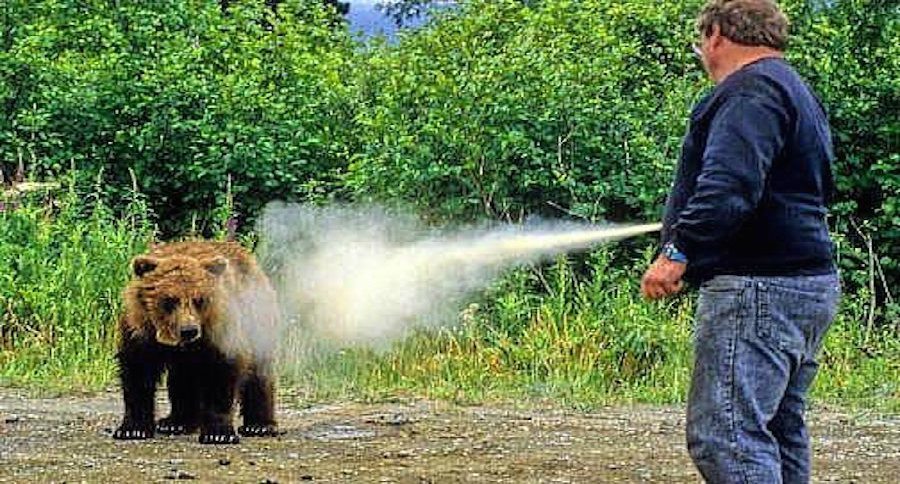 Man spraying a grizzly bear with pepper spray