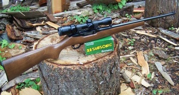 Ruger .22 rifle with .22 subsonic ammunition for I-1639