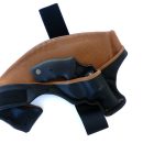 Taurus 605 .357 Magnum revolver carried in a 3Speed holster