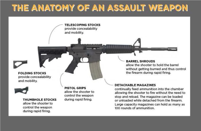 Anatomy of an assault weapon graphic assault weapons ban of 2019