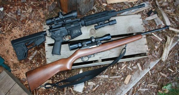 Ruger 10/22 below, AR-15 rifle above illustration the subject of a bipartisan bill