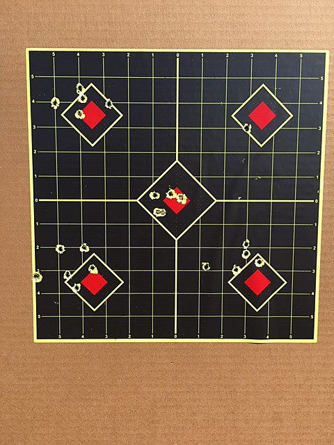 one-inch sight in target with bullet holes