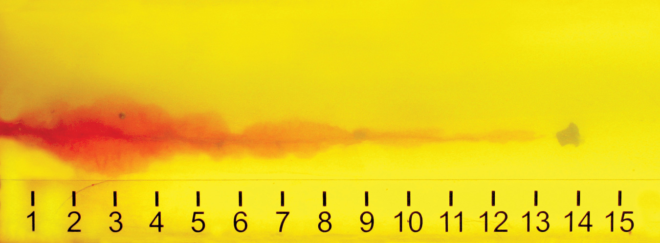 ballistic gelatin showing wound cavity produced by a .40 S&W 175-grain bullet