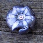 upset Speer Gold Dot 10mm bullet