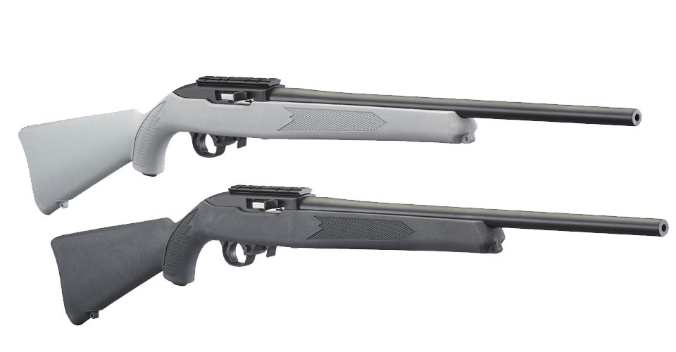 Two Ruger 10/22 rifles
