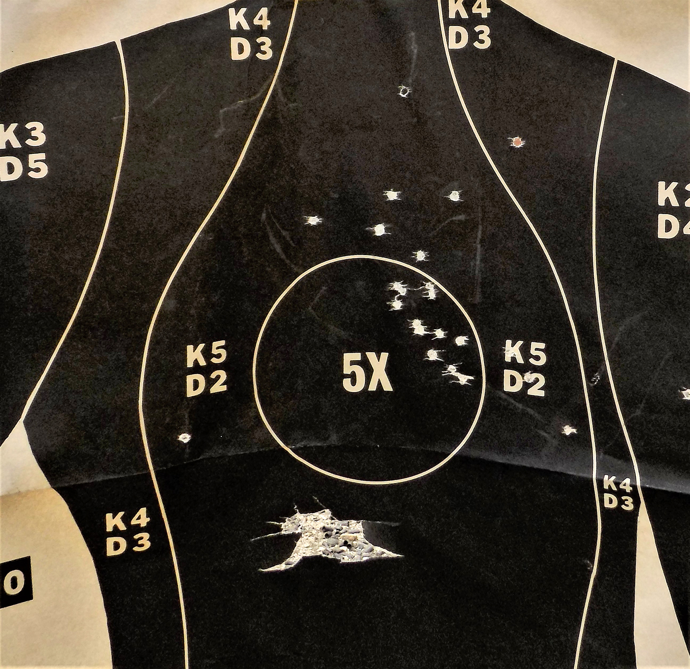 Silhouette target littered with buckshot holes