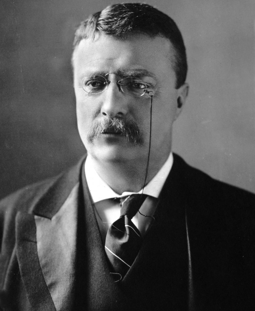 President Theodore Roosevelt