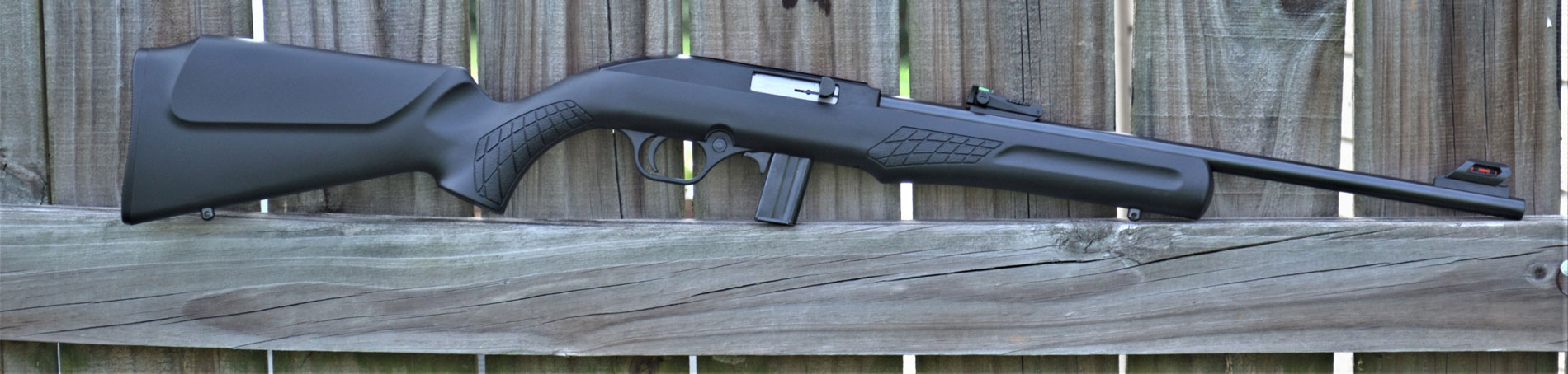Rossi RS22 rifle on a fence post right profile