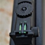 rear sight on the Rossi RS22 rifle
