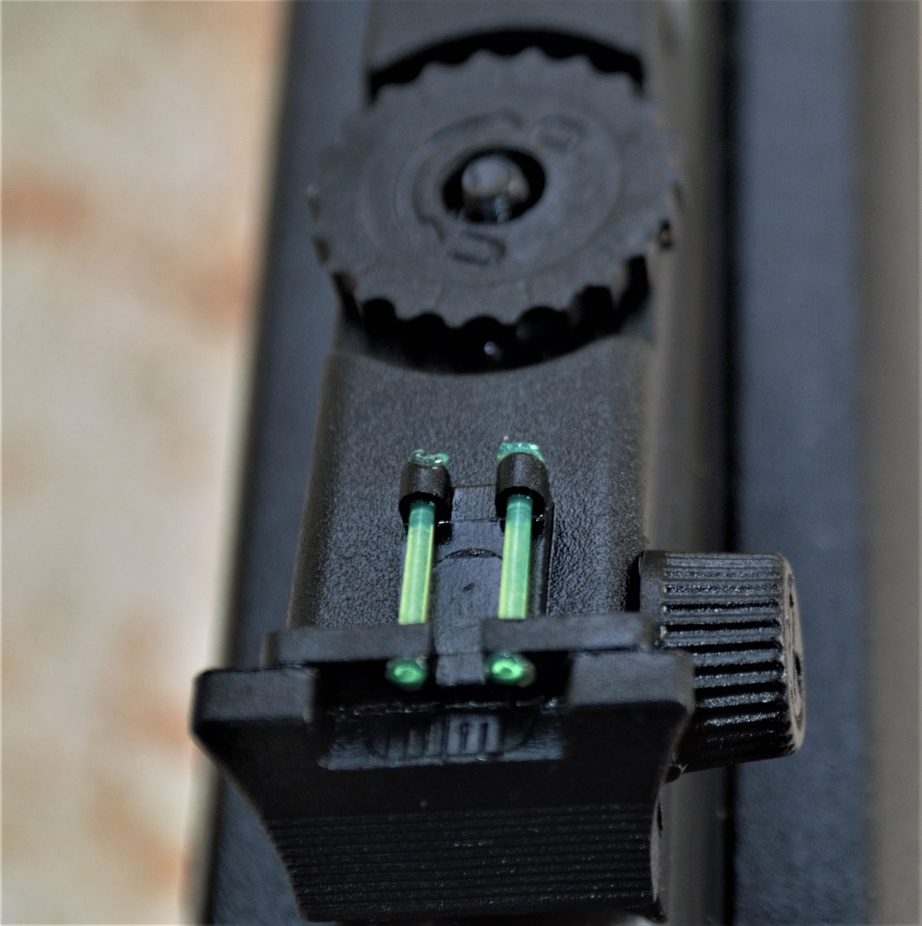 rear sight on the Rossi RS22 rifle