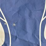 bullet holes from a .22LR on a blue silhouette target