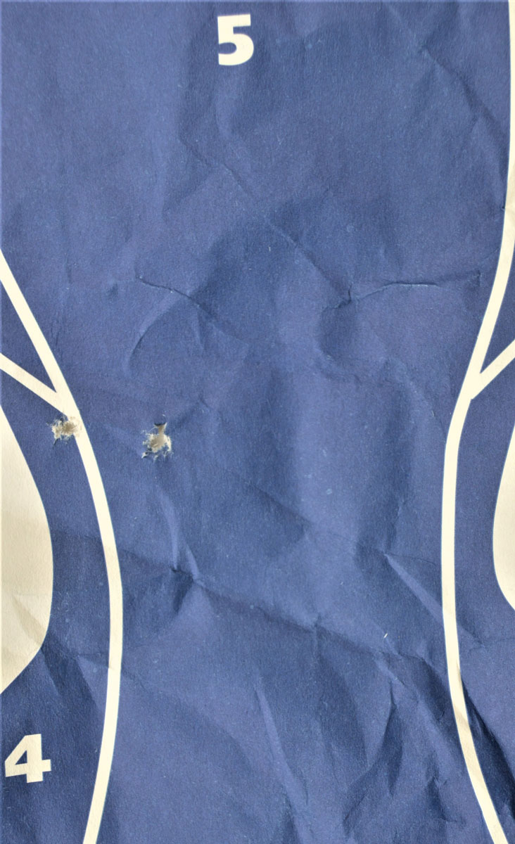 bullet holes from a .22LR on a blue silhouette target