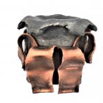 upset Hornady XTP bullet