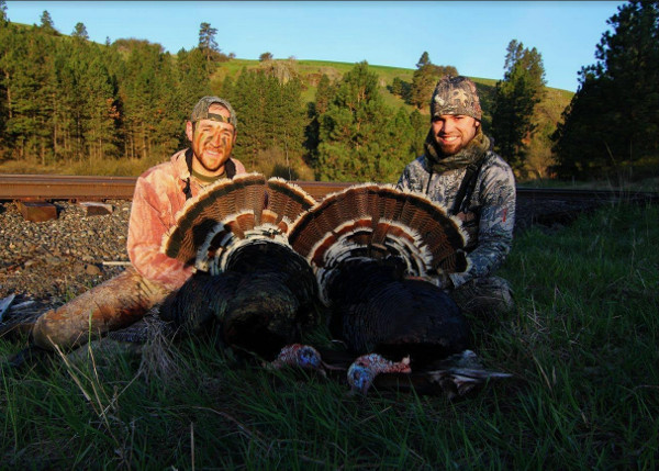 Two hunters posing with wild turkeys