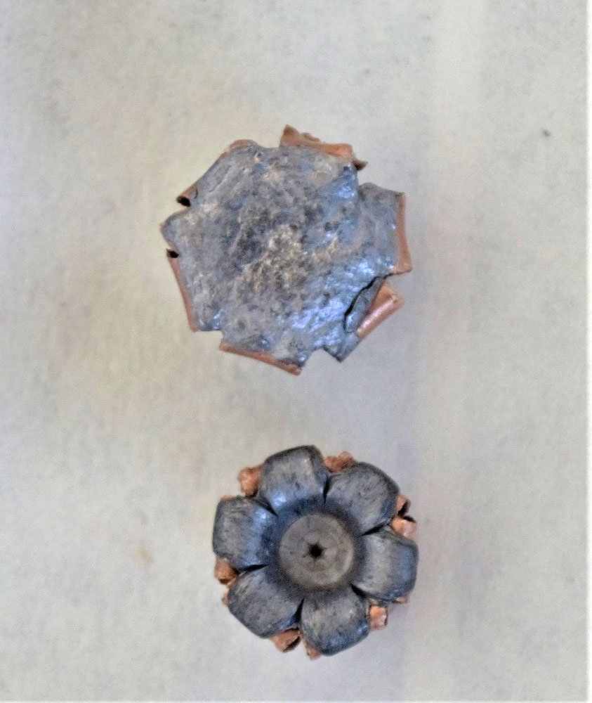 Buffalo Bore 100-grain JHP, top, and the Hornady Critical Defense, bottom