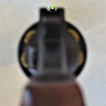 Front sight on the Charter Arms Professional revolver
