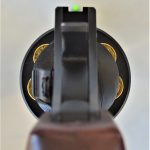 Rear sight on the Charter Arms Professional revolver