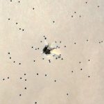 shot pattern at three yards showing patter sufficient for rodent-sized game