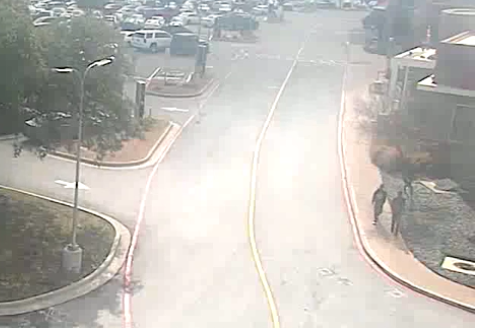 Screen shot from footage showing two young thugs wandering the area outside the mall, before being confronted by an armed good guy
