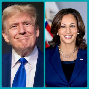Trump vs Harris